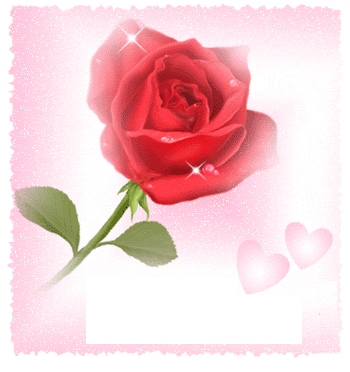 je t'aime toi...